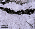 Shock metamorphism at Bloody Creek crater
