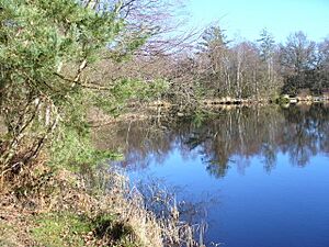 Shortheath Pond - geograph.org.uk - 328674