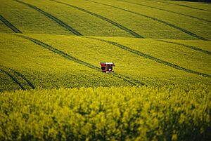 Spraying Oilseed Rape near Barton Grange - geograph.org.uk - 1842382