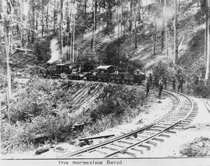 Steam locomotive on the horseshoe bend in the new Buderim tramway, Buderim district, 1915f