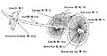 THorseChineseChariot400BCE