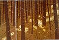 Tan Woods, 1999