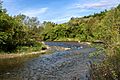 The Credit River, Mississauga, Ontario (21758612442)