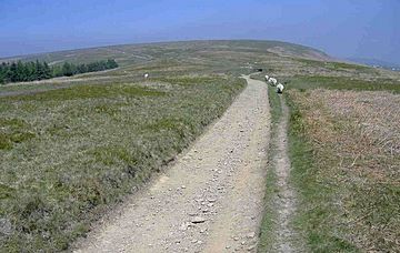 Track towards Mynydd Maen - geograph.org.uk - 423350.jpg