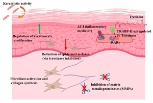 Tretinoin dermatological effects (Baldo-Simo 2025)