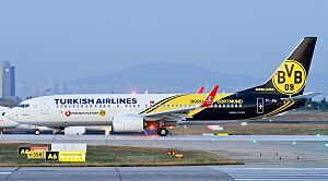 Turkish Airlines TC-JHU Borussia Dortmund