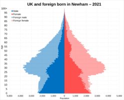 UK born and foreign born population pyramid in Newham in 2021