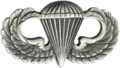 USA Parachutist
