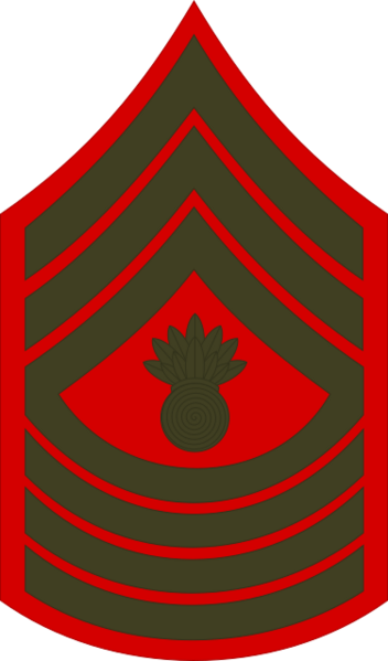 USMC-E9-MGyS (Service)