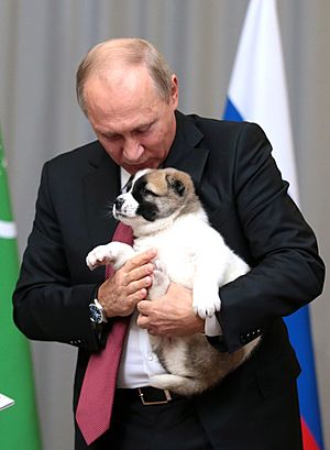 Vladimir Putin (2017-10-11)