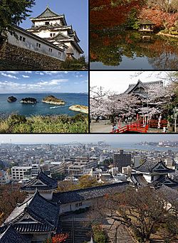 Wakayama Castle, Nishinomaru Garden, Saikazaki, Kimiidera Temple, Downtown Wakayama viewed from the castle keep