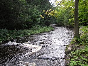 Whetstone Gulf State Park 20110911