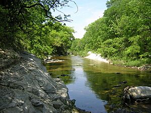 White rock creek dallas county texas