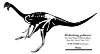 Wulatelong gobiensis skeleton.png