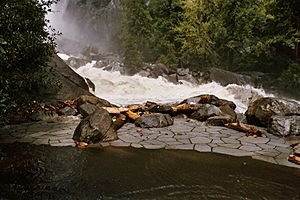 Yosemite Creek in Flood