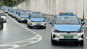 (CHN-Guangdong) Taxis at University of Hong Kong-Shenzhen Hospital 2024-05-24