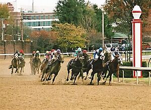 2006 Breeders Cup Juvenile, Street Sense with Calvin Borel Winner-Hidden On Rail