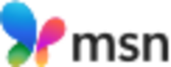 2024 new msn logo.svg