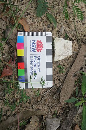 650053 Ceramic found on site of hospital residence and garden (EHP, 2017)