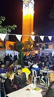 Adana Rakı Festival1