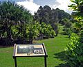Amy B. H. Greenwell Ethnobotanical Garden