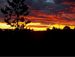 Atardecer en Campo Grande (Misiones, Argentina).jpg