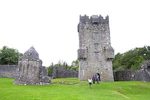 Aughnanurecastle