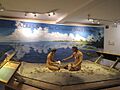 Bailey-Matthews National Shell Museum exhibit on the Calusa