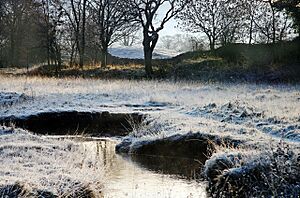 Ballowfields meadow - geograph.org.uk - 1064534