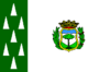 Flag of Cercedilla