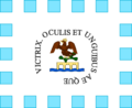 Bandera y Estandarte de Morelos