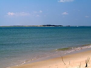 Bearisland