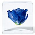 Blue Rose in Case Study1 sculpture by Tadao Ando