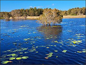 Buckleys Hole Conservation Park, Bribie Island, 2022
