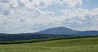 Buffalo from Mountain View 285