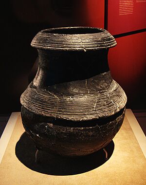 CMOC Treasures of Ancient China exhibit - black pottery cauldron