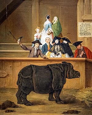 Ca' Rezzonico - Il rinoceronte 1751 - Pietro Longhi 