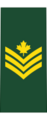 Canadian Army OR-6