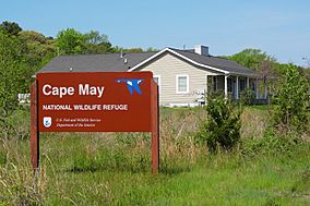 Cape May NWR - Office.jpg