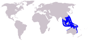 Cetacea range map Pacific Humpback Dolphin.PNG