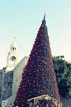 Christmas tree, Bethlehem