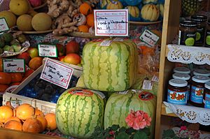 Cube Watermelons for Sale in Munich, Germany Market