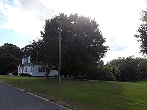 Elevon house in Caroline County