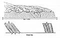 Figure2 PatrickGanly 1856