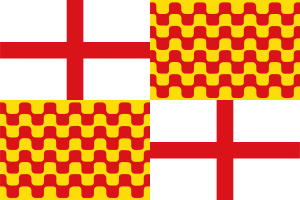 Flag of Tabarnia