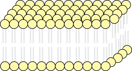 Fluid Mosaic