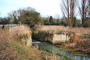 Fornham Park Lock, River Lark - geograph.org.uk - 639703