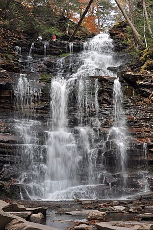 Ganoga Falls, Ricketts Glen, in autumn
