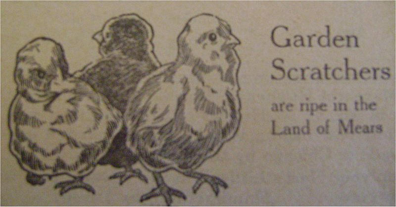 Gardens Scratchers sketch