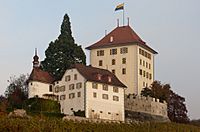 Gelfingen-Schloss-Heidegg